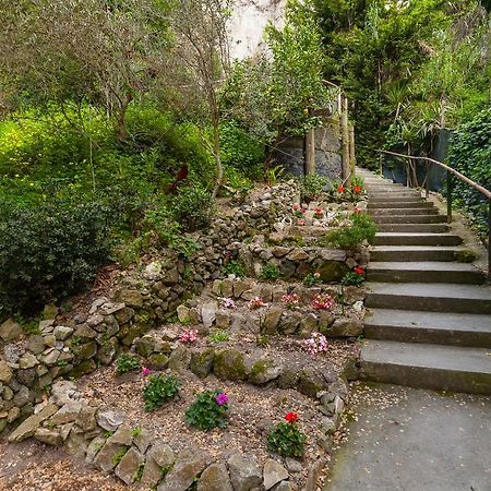 Nitrodi Experience Guest House Barano d'Ischia Ngoại thất bức ảnh