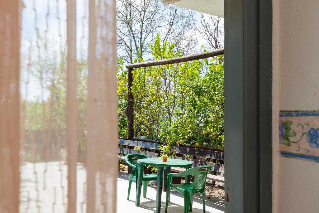 Nitrodi Experience Guest House Barano d'Ischia Ngoại thất bức ảnh