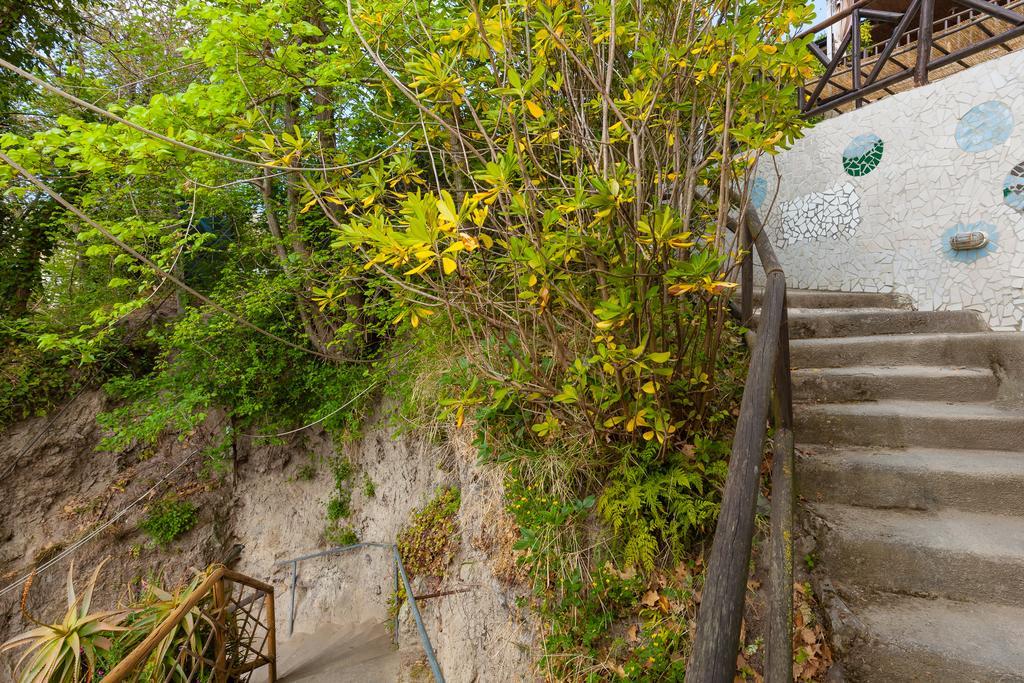 Nitrodi Experience Guest House Barano d'Ischia Ngoại thất bức ảnh