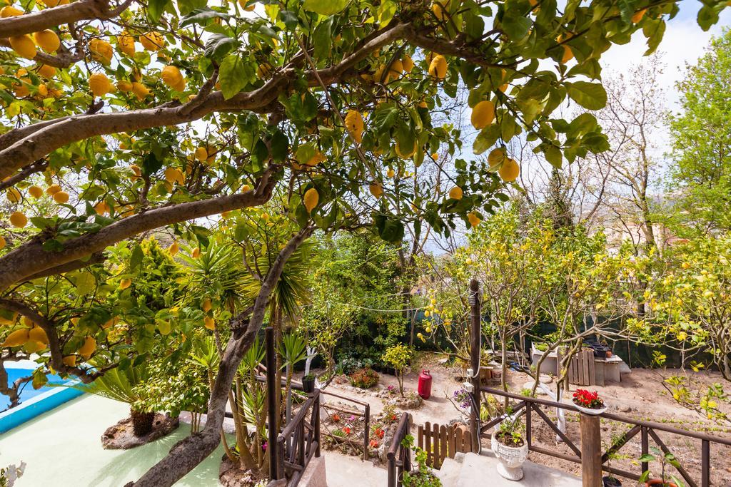 Nitrodi Experience Guest House Barano d'Ischia Ngoại thất bức ảnh