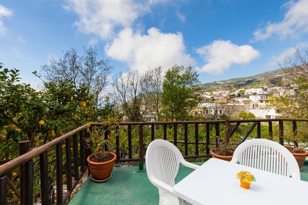 Nitrodi Experience Guest House Barano d'Ischia Ngoại thất bức ảnh